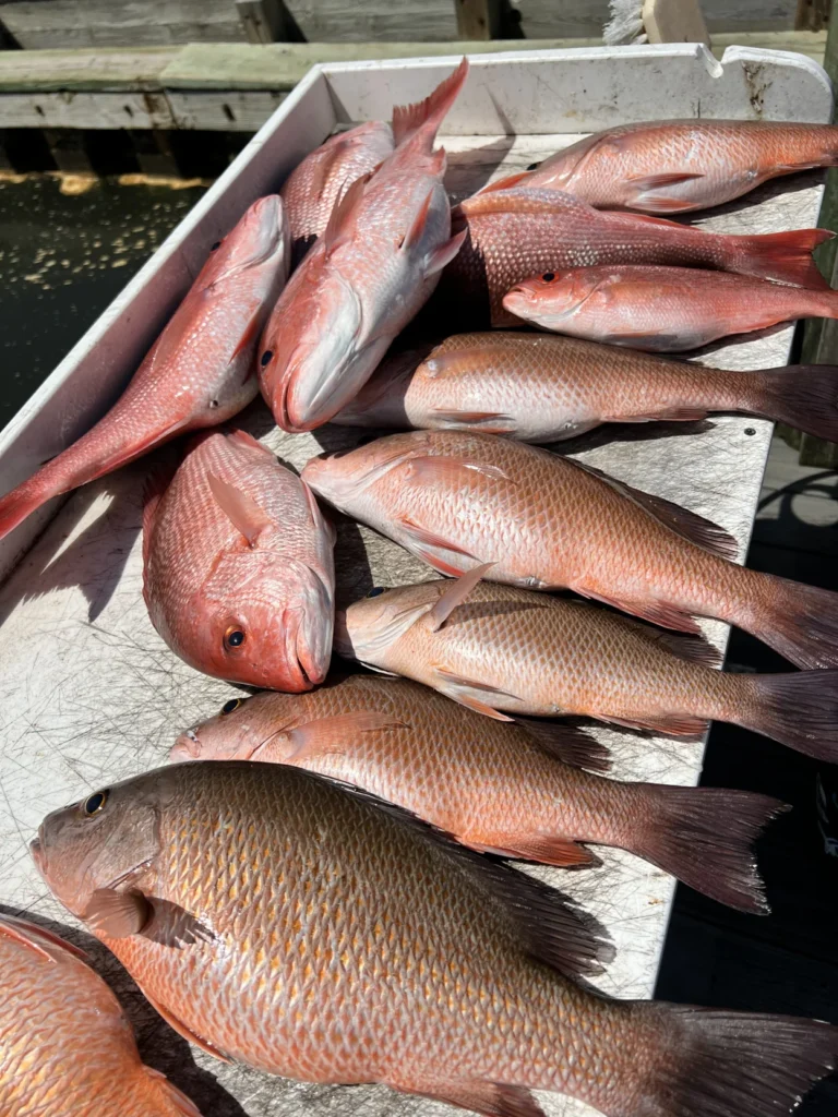 Seafood De Novo